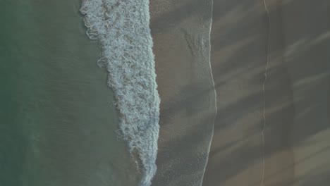 Las-Olas-Del-Océano-Bañan-Tranquilamente-La-Playa-De-Arena,-Empuje-Aéreo-De-Arriba-Hacia-Abajo