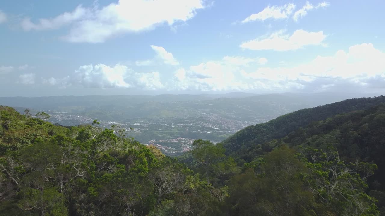 드론은 햇볕이 잘 드는 숲의 산봉우리 너머로 날아가서 도시를 드러낸다