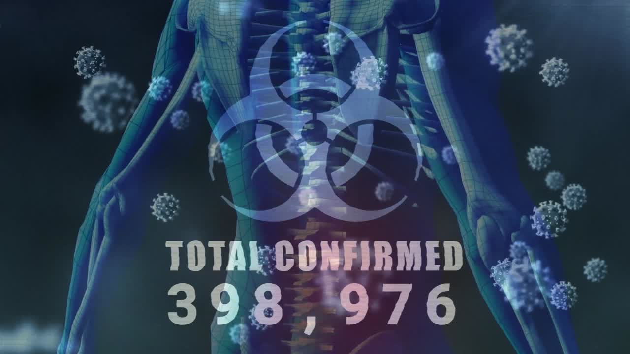 총 확정된 단어와 증가하는 수와 함께 인체의 골격의 애니메이션