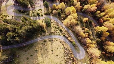 Orangefarbene-Herbstwaldbäume-Aus-Der-Luft-Am-Berghang-Mit-Radfahrern,-Die-Den-Weg-Hinunterradeln,-Von-Oben-Nach-Unten