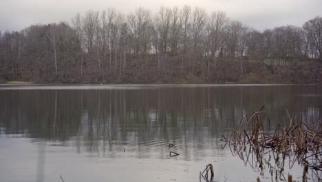 tranquil december scene: view of a calm lake in earthy winter hues