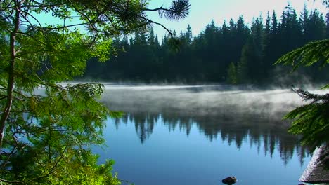 El-Vapor-Se-Eleva-Desde-El-Lago-Trillium,-Que-Está-Rodeado-De-Pinos-Cerca-Del-Monte-Hood-En-Oregón-5