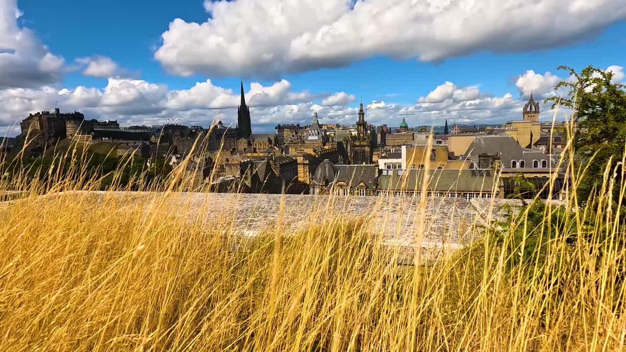 앞면 에 황금색 잔디가 있는 에딘버러의 경치