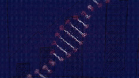 Animation-of-dna-strand-over-diagram-on-blue-background