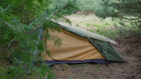 Solo-tent-pitched-at-a-campground-amongst-the-pine-trees,-in-the-middle-of-Thetford-Forest-in-United-Kingdom