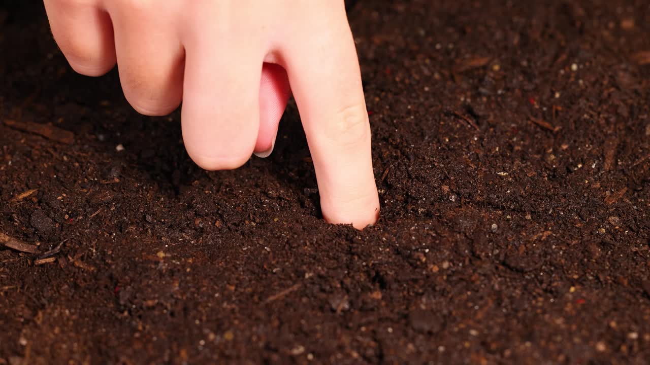 A hand pokes holes in rich, dark soil under bright lighting, preparing for seed planting in a gardening setting