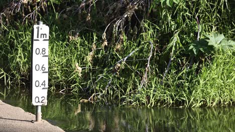 water level gauge in a forest stream