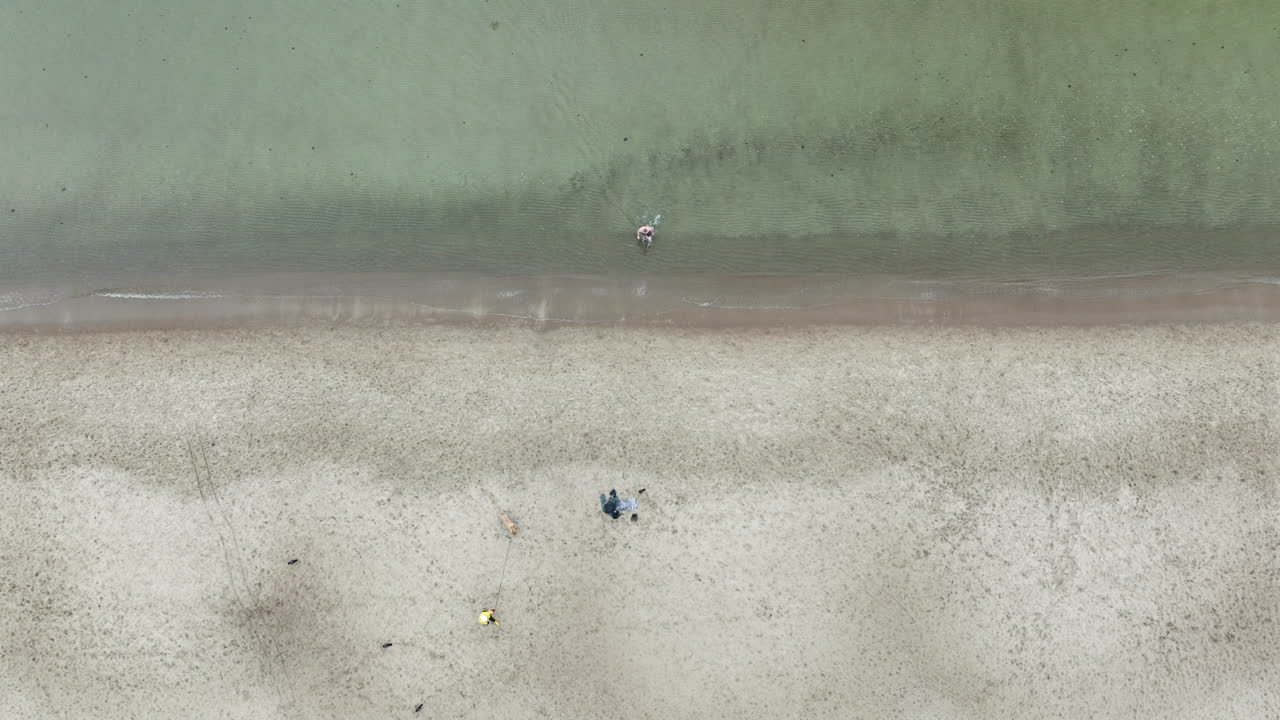 Vista aerea dall'alto di una spiaggia con una persona che guadagna l'acqua fredda e un'altra che porta a spasso un cane sulla sabbia