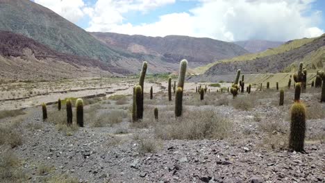 paisaje desértico del noroeste de argentina