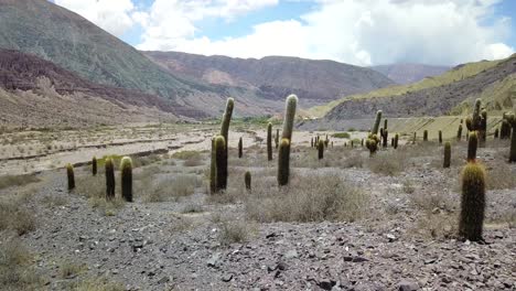 desert landscape of northwestern argentina