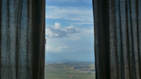 view from a window of a building a field of olive trees