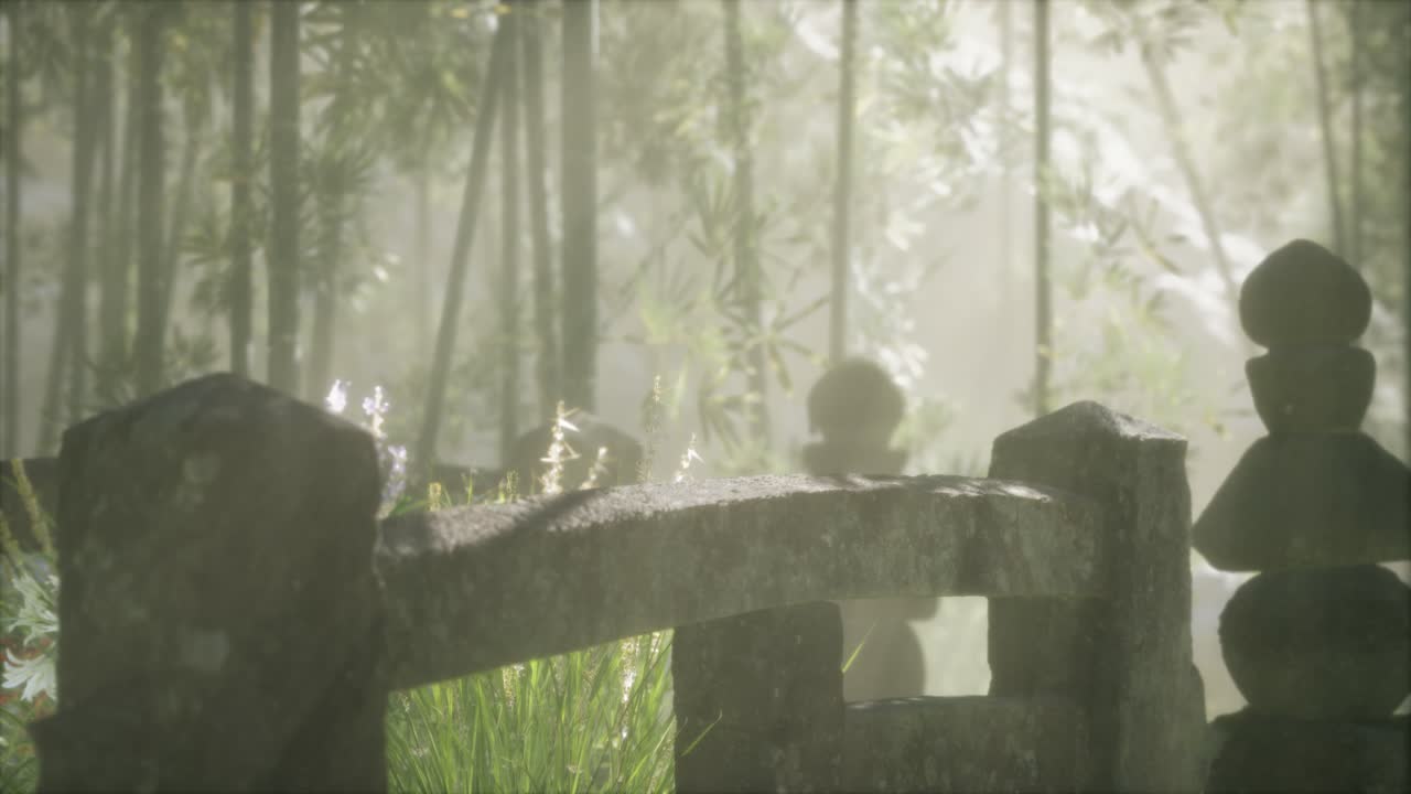 일본 대나무 숲 과 녹색 초원 잔디 와 자연 빛