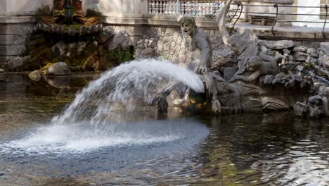 water fountain in düsseldorf city canal