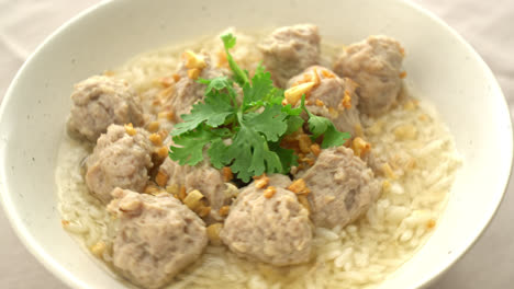 Homemade-Boiled-Rice-with-Pork-Bowl