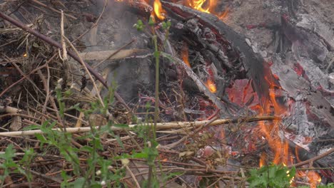 Flames-and-smoking-ashes-of-burnt-garden-waste-in-a-bonfire,-rural-Spain