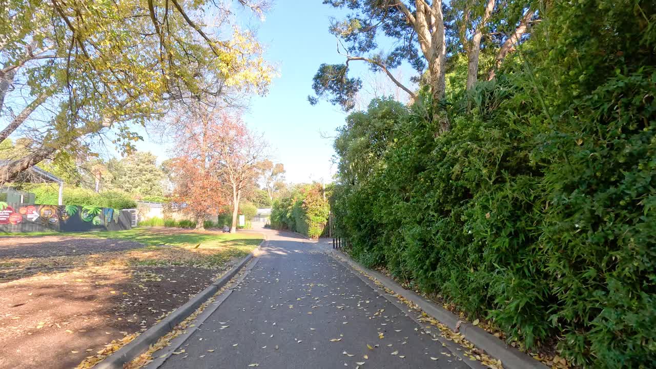 나무 가 인 길 을 따라 조용 한 산책