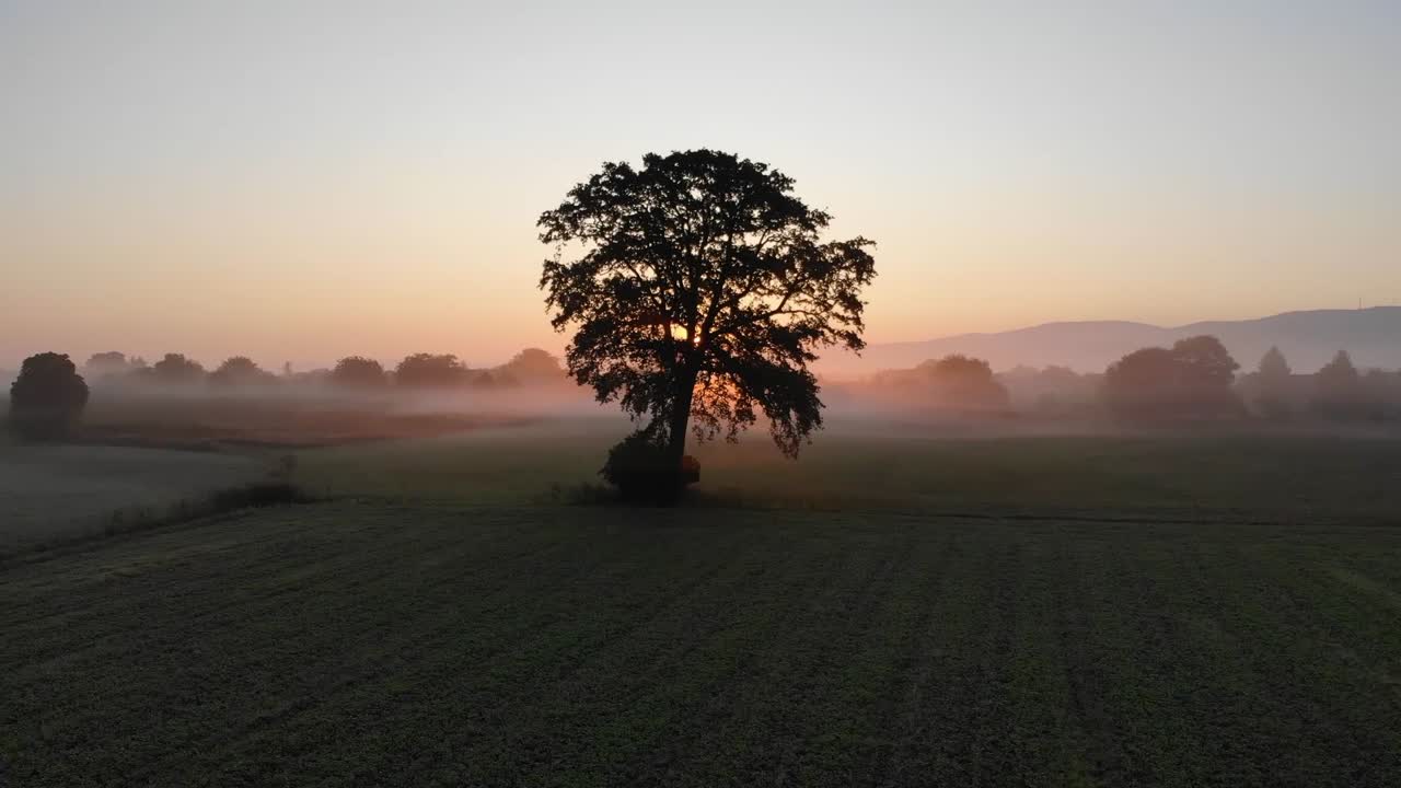 Flying over a field near a village