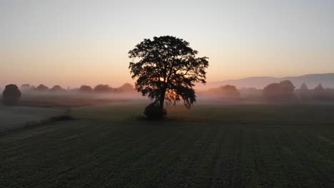 Fliegen-über-Einem-Feld-In-Der-Nähe-Eines-Dorfes