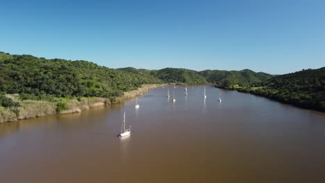 aerial view of the beautiful guadiana river, the boats sailing up the river, and the slopes full of mediterranean vegetation