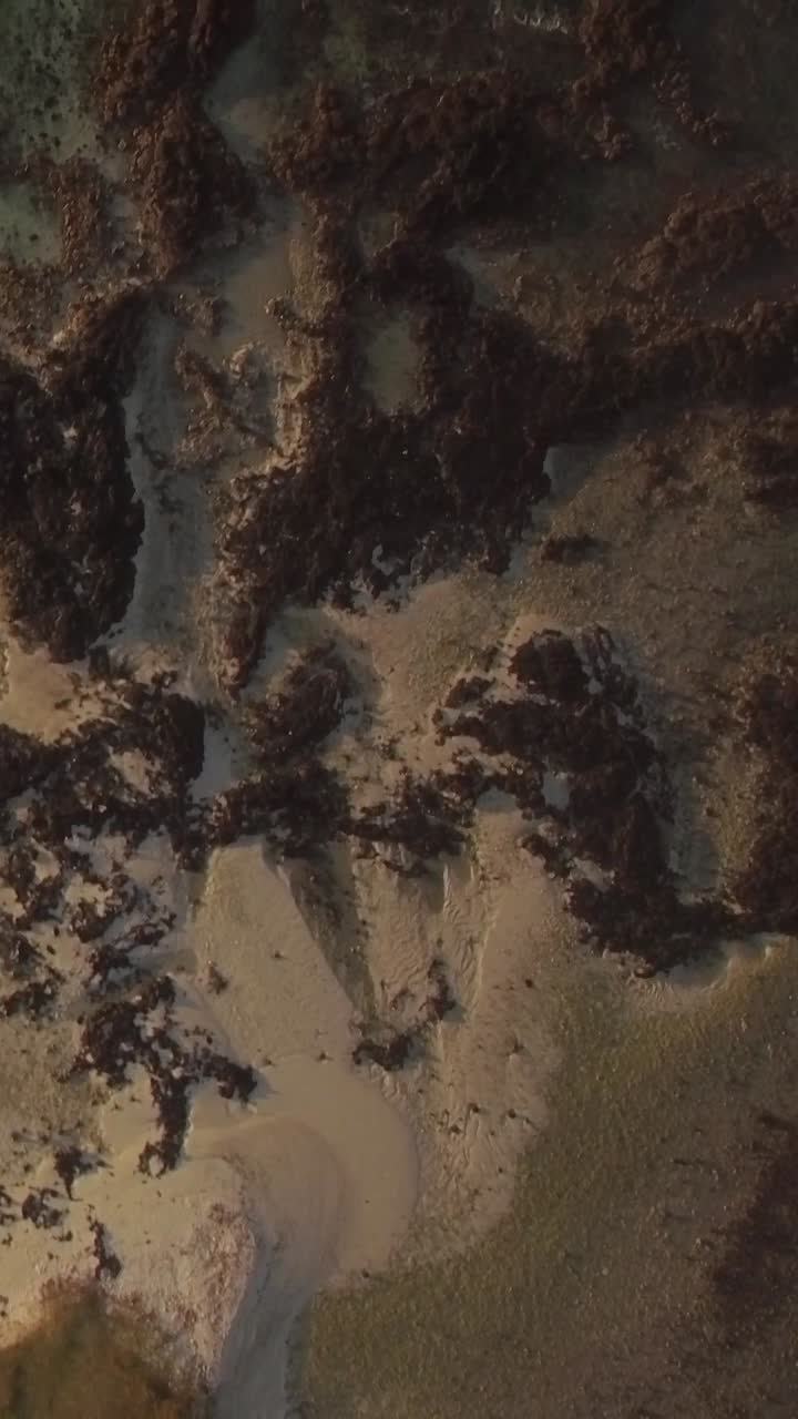 Veduta aerea dall'alto di una spiaggia tropicale e barriera corallina