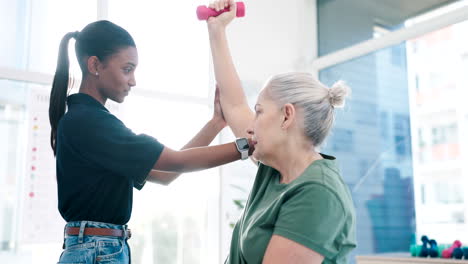 mujeres, fisioterapia y estiramiento