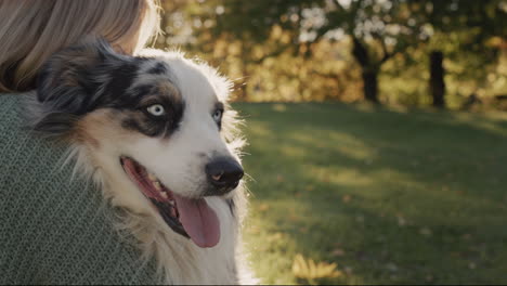 The-owner-gently-embraces-his-faithful-dog-in-the-rays-of-the-setting-sun.-Attachment-and-Favorite-Pet-Concept