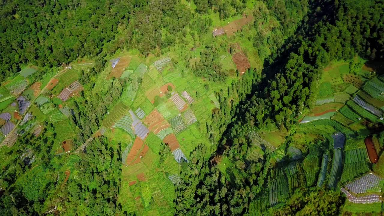 imágenes de drones hacia atrás del paisaje tropical en la ladera de la montaña