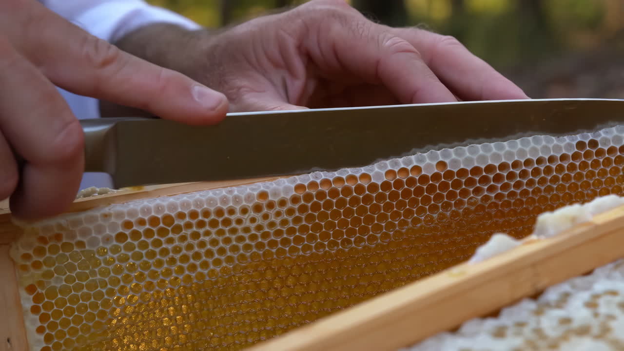 Harvesting Honeycomb