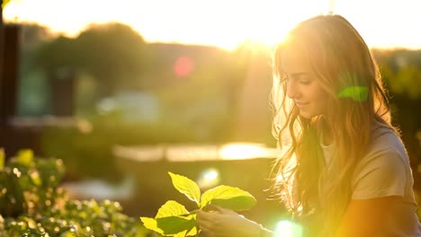 woman tending to vibrant plants indoors at sunset, nurturing growth
