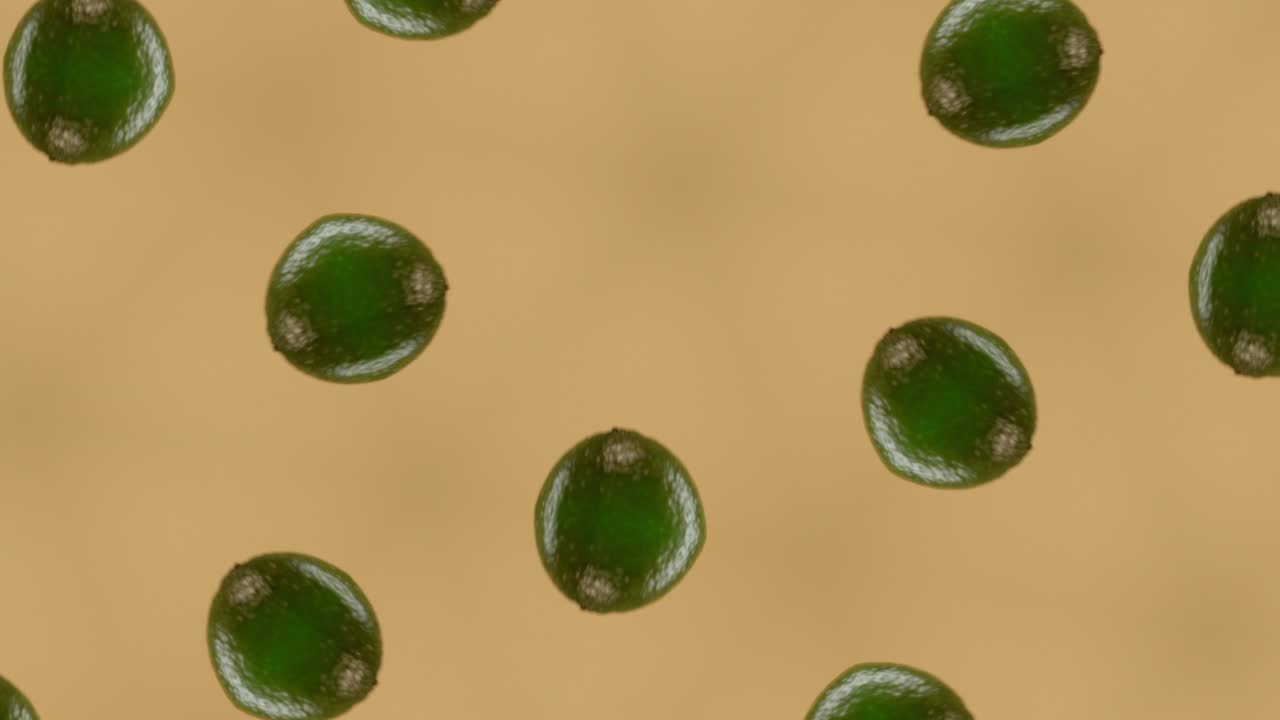 신선한 라임 과일 칼레도스코프