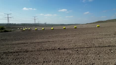 vídeo de drones aéreos de alta resolución 4k de un campo de algodón después de la cosecha anual de algodón - hulda israel