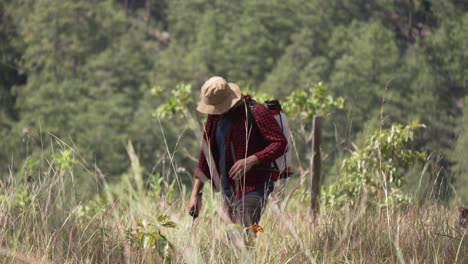 hombre en el bosque con un pulverizador de mochila