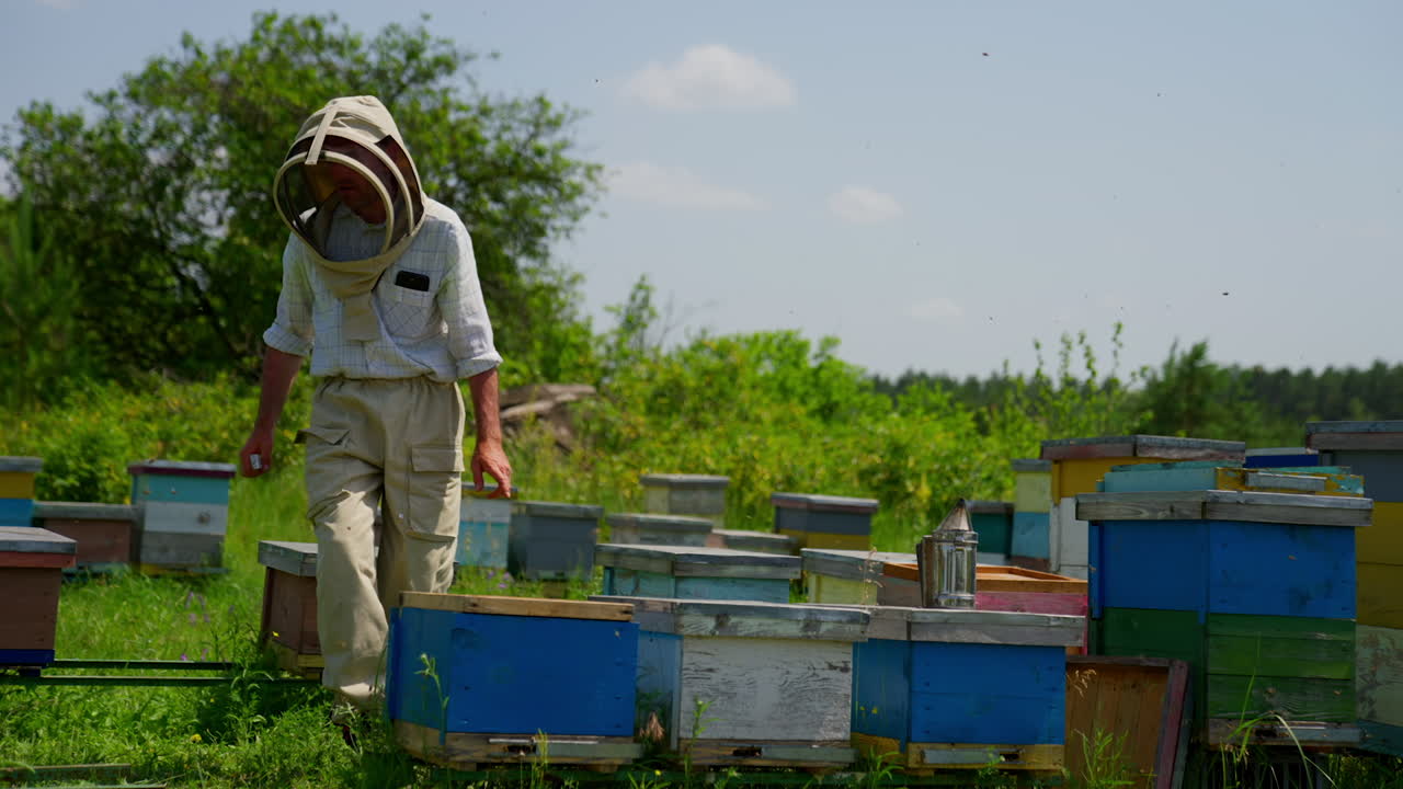 Male mid-aged apiarist in protective hat dealing with his bee farm. Busy man checking up his apiary. Green summer backdrop.