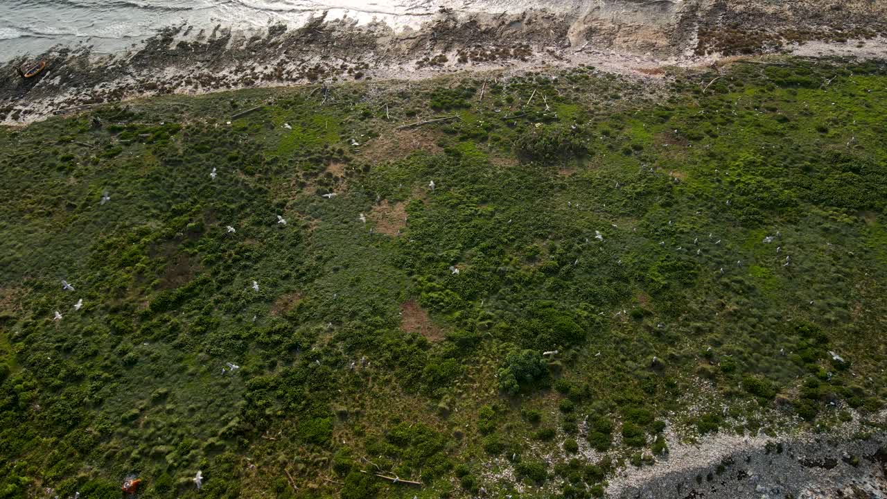 olas lavando en la playa