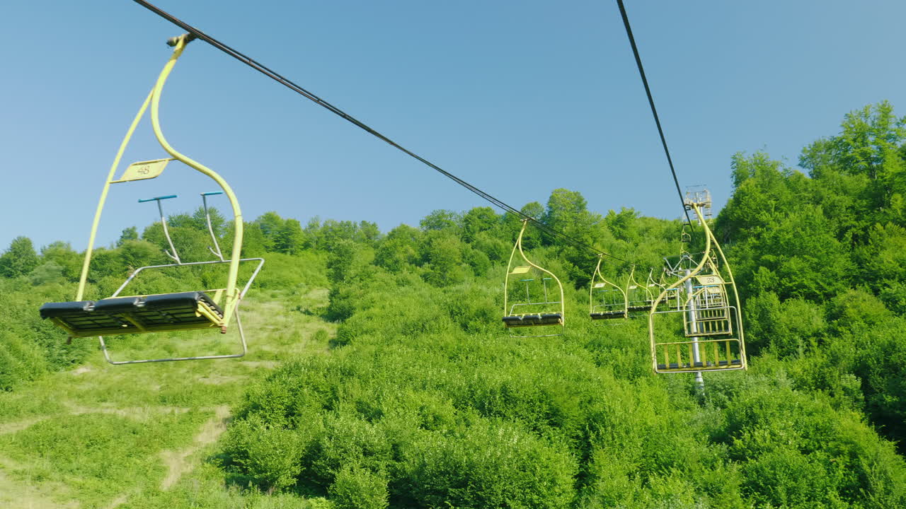 сиденья подъемника они движутся вверх на фоне леса, покрытого лесным остролистом