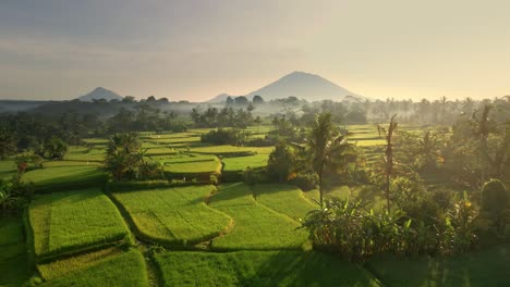 Filmische-Drohnenszene-Von-Reisfeldern-Im-Hintergrund,-Majestätischer-Vulkan-Gunung-Agung-Oder-Mount-Agung-Bei-Sonnenaufgang-Im-Distrikt-Karangasem,-Bali,-Indonesien