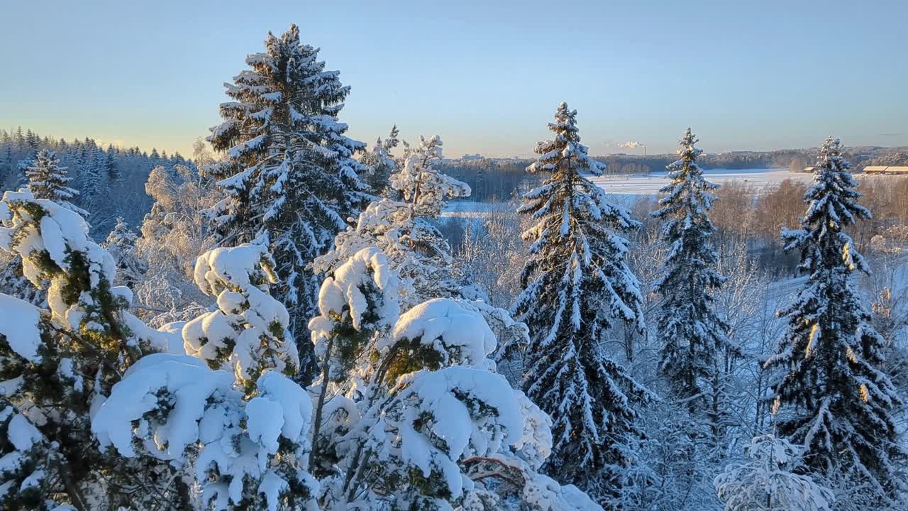 Snowy winter forest landscape with snow covered trees, winter wonderland, Finland