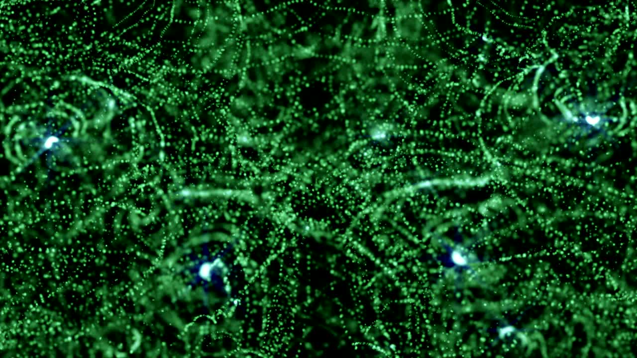 초록색 반이는 입자가 없이 반인다.