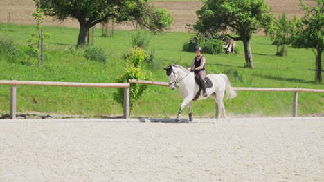 a woman works a horse on the sand court