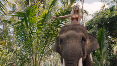 hermosa mujer montando un elefante en la jungla explorando el exótico bosque tropical divirtiéndose en una aventura con un compañero animal 4k