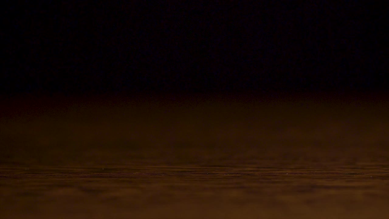 건조 과일 및 채소 품종