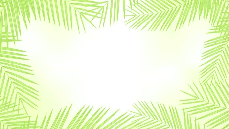 hojas de palma de coco marco moviéndose por el viento bucle y copiar animación espacial 4k en fondo verde borroso con canal alfa
