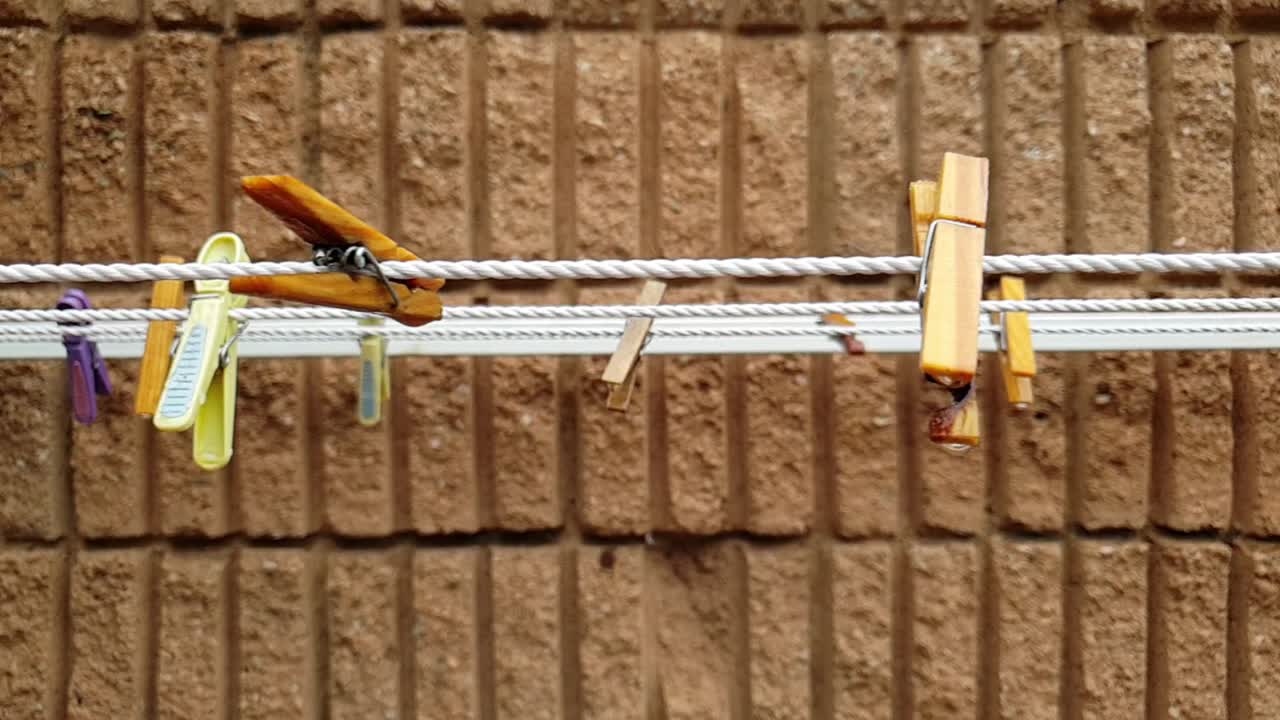 빗방울이 걸려 있는 빈 나무와 플라스틱 빨래줄 못, 팬을 왼쪽 비디오 푸티지로 천천히 이동