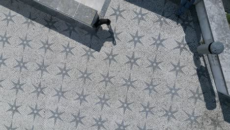 aerial-view-of-Charming-Dog-Roaming-the-Streets-of-Alfama-and-historic-cobblestone-in-Lisbon,-Portugal