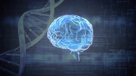animación digital de un cerebro