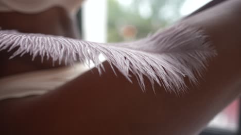 pluma en una pierna