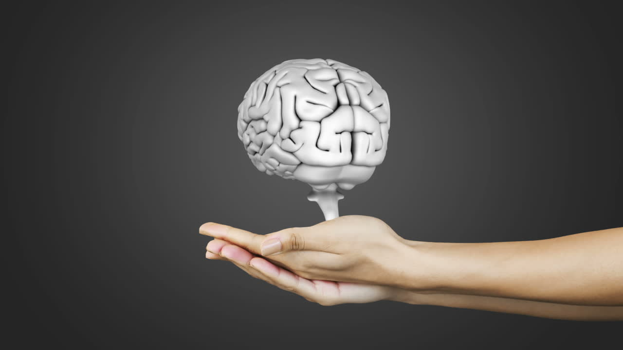 mano que presenta un cerebro giratorio