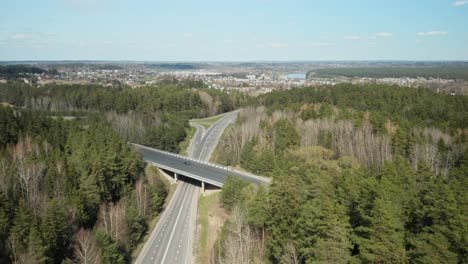 aerial: bridge near prienai city with nemunas loops in background