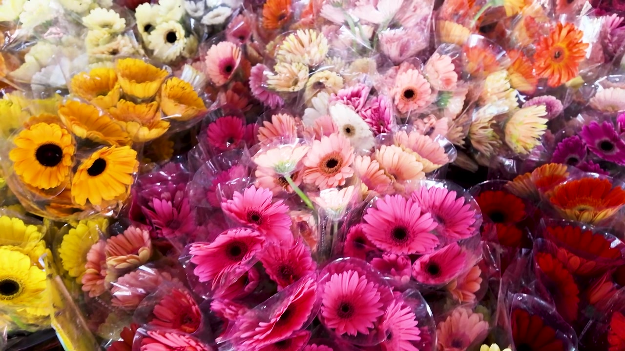 Bir pazarda plastik ambalajda bulunan renkli gerbera papatya buketlerinin yüksek açılı kaydırma çekimi.
