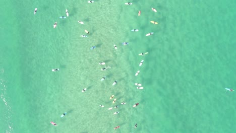 grupo de surfistas disfruta de las olas del océano con vistas al día soleado en la playa